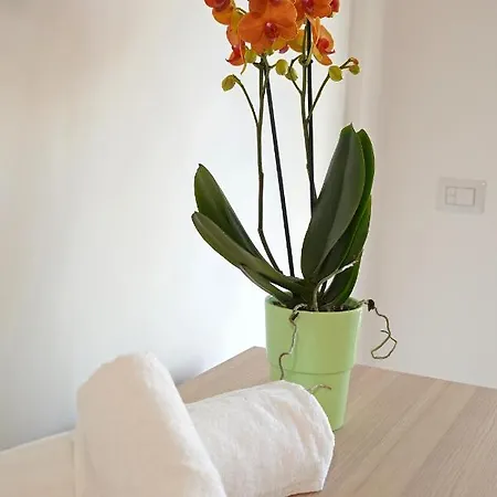 Piazza Lauro * سورينتو