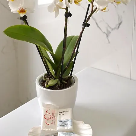 Piazza Lauro * سورينتو