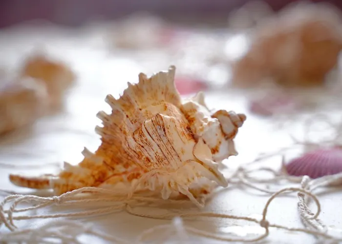 Διαμέρισμα Piazza Lauro