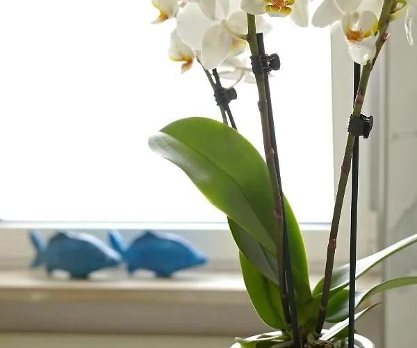 Piazza Lauro Península Sorrentina