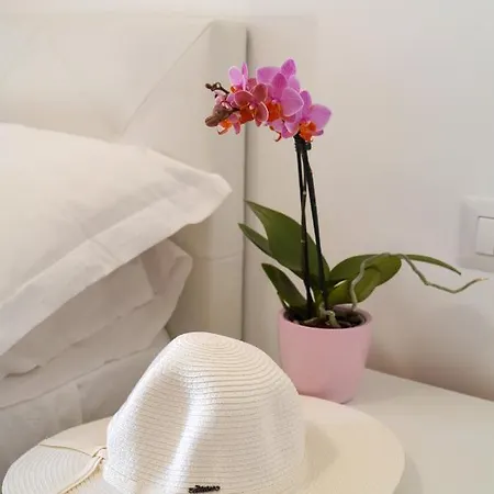 Apartamento Piazza Lauro Sorrento
