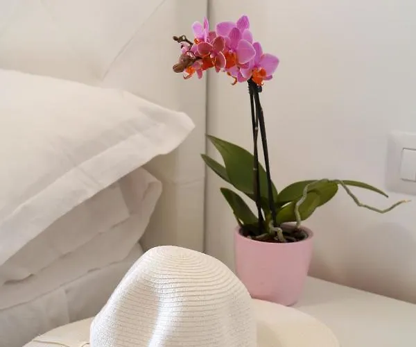 Apartamento Piazza Lauro Península Sorrentina